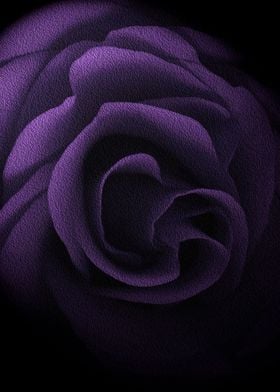 Textured Lilac Rose