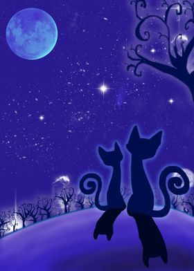 The cats and the moon