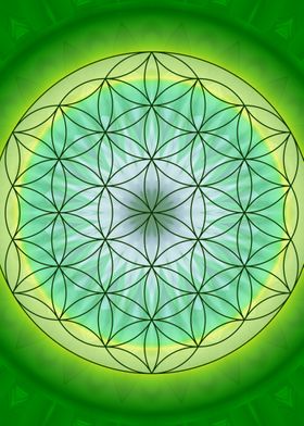 flower of life no. 3