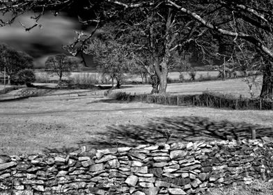 Infra Red Shadows A centuries old Somerset wall as it ... 