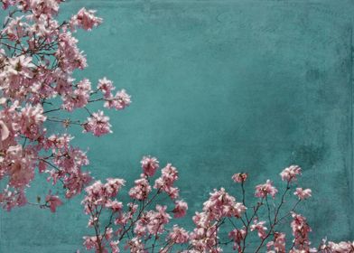 Pink Apple Blossoms on Teal Blue Green Sky