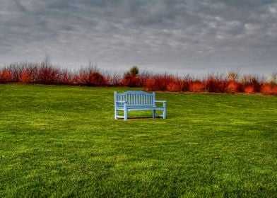 Blue Bench