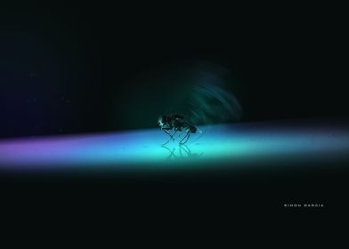 Glowing Fly Insect