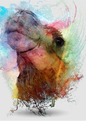 Watercolor Camel