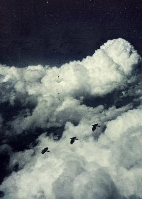 Surreal cloudscape woth birds