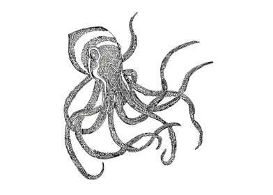 Octopus drawn with one continuous line. The line begins ... 