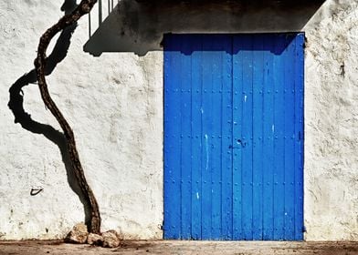 Vine and a blue door