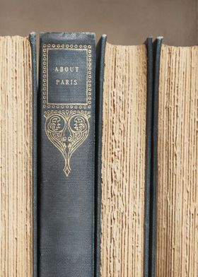 Antique Book About Paris 