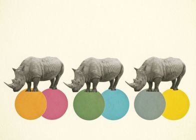 Rambling Rhinos