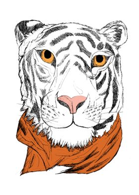 Mr Tiger