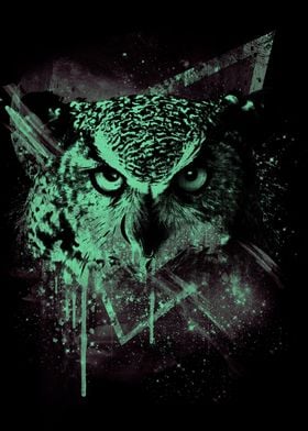 Cosmic Owl