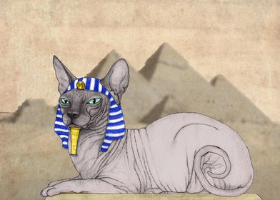 Sphynx Cat With Pyramids Of Giza.