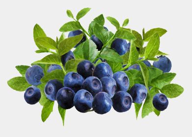 painted blueberries