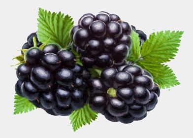 painted blackberries