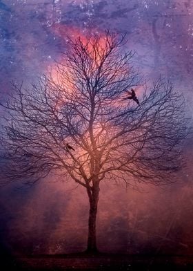 Winter Tree At Dawn
