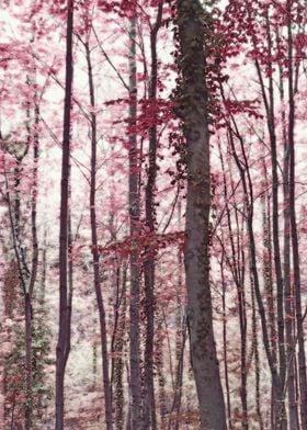 Ethereal Austrian Forest in Marsala Burgundy Wine. Phot ... 