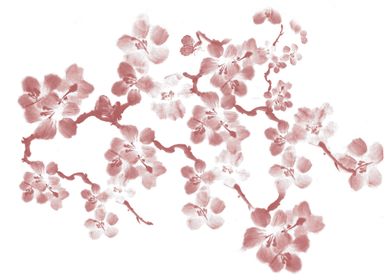 Cherry Blossom - In memory of Mackenzie