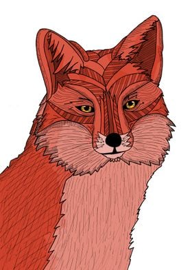 The Fox