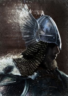 Nordic Warrior