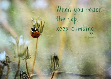 Zen Proverbs When you reach the top, keep climbing. Th ... 