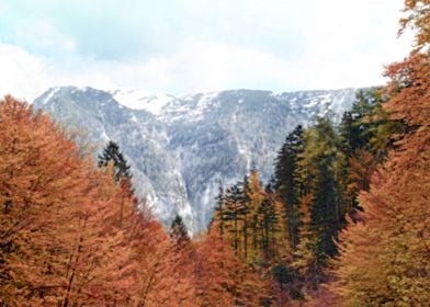 Austrian Mountains