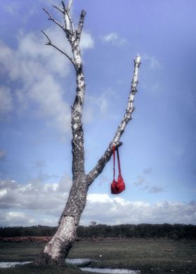 red bag hanging on a dead tree in a bleak landscape