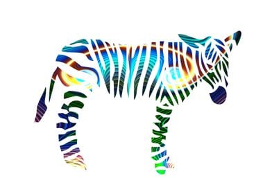 rainbow zebra