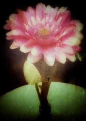 Vintage Dreamy Flower