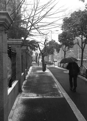 Winter in Shanghai, The Eternal street, Black and white ... 