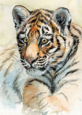 Tiger Cub 865