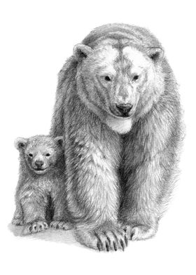 Polar bear and cub SK041