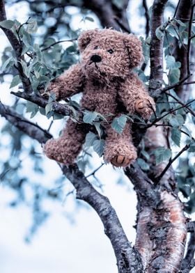 vintage teddy bear on a tree