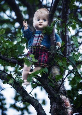 old doll sitting on a tree