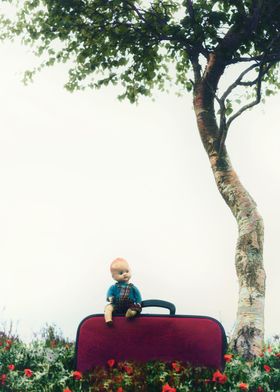 little boy wants to travel
