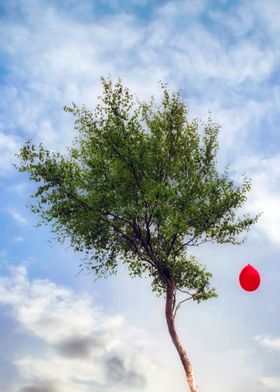 red balloon on a tree