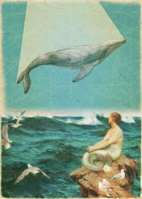 Whale Song Collage