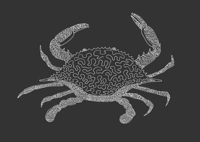 Crab - One Line Drawing. The line begins in the top of  ... 