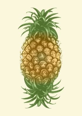 Genetically Engineered Pineapple