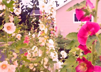 Pink Cottage and Old Fashioned Magenta and Pastel Pink  ... 