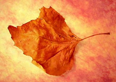 Autumn leaf watercolour