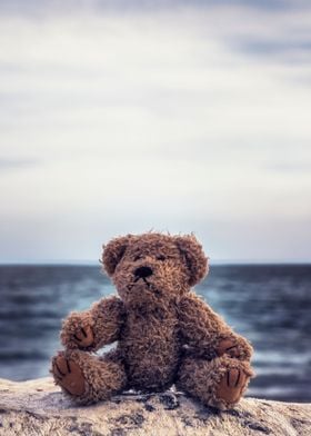 teddy bear at the sea