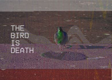 The Bird is Death