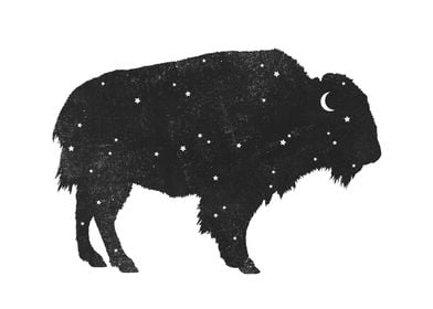 Mystic Buffalo