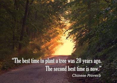 “The best time to plant a tree was 20 years ago. The se ... 