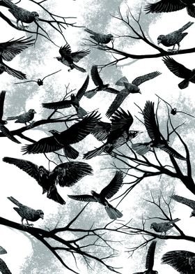 Blackbirds