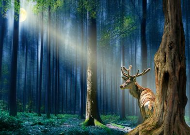 The Deer In The Mystical Forest