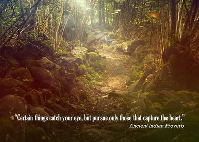 “Certain things catch your eye, but pursue only those t ... 