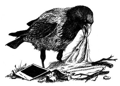 Crow&#39;s nest