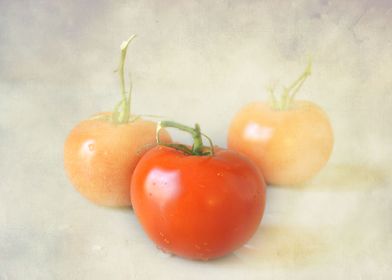 Tomatoes