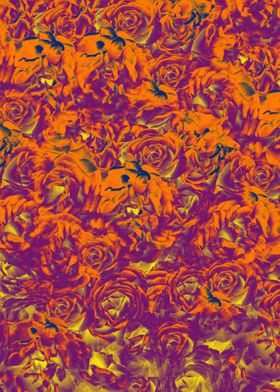 Rose pattern